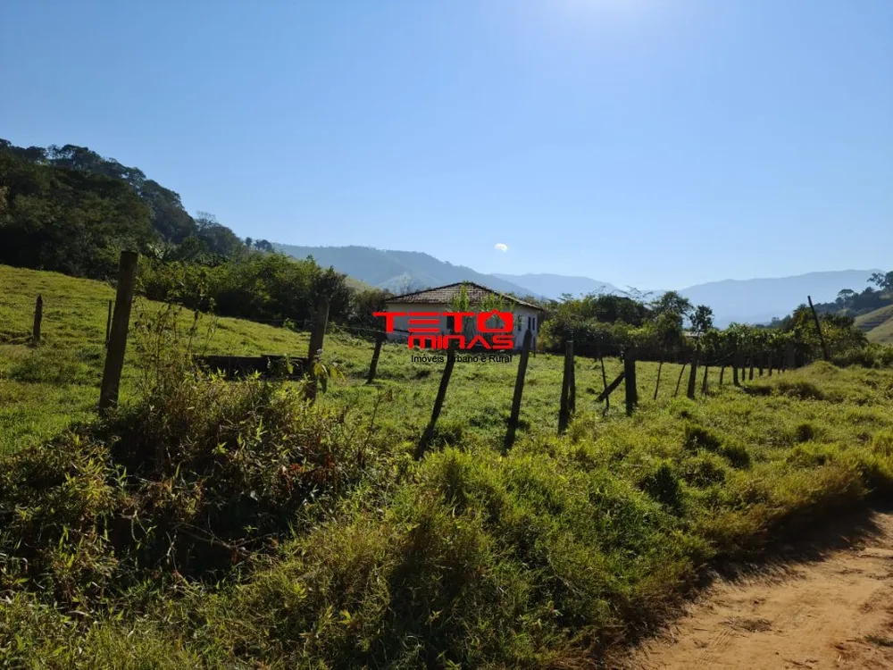 Fazenda - Foto 15
