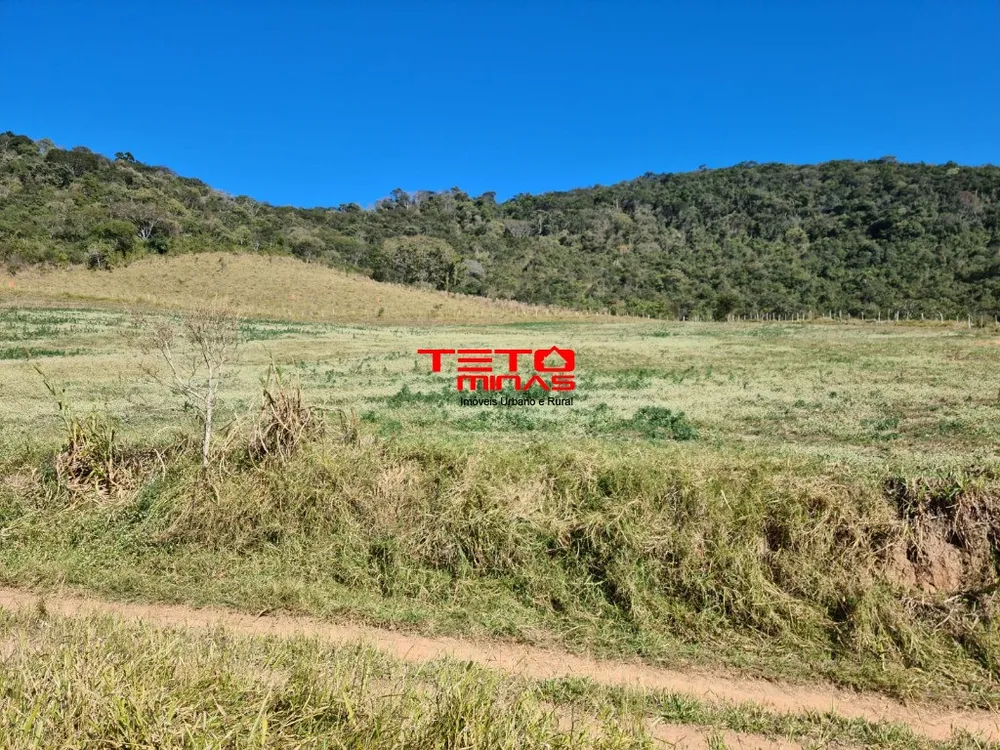 Fazenda - Foto 4