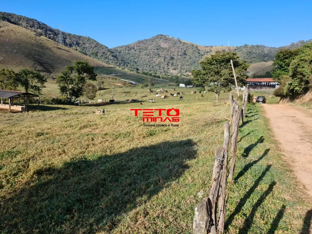 Fazenda - Foto 14