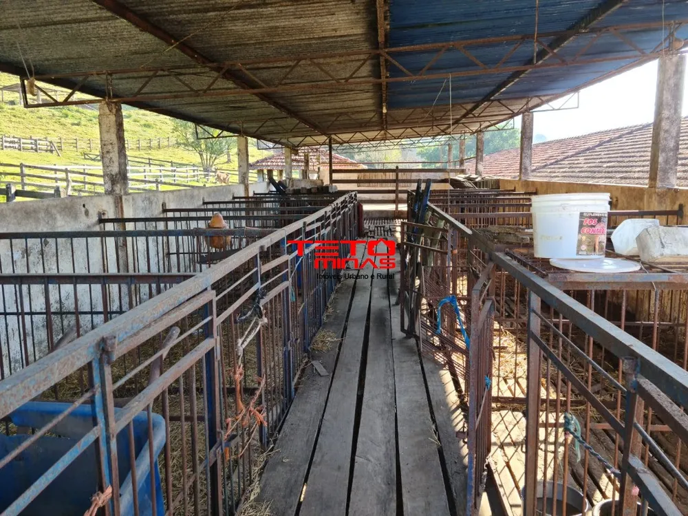Fazenda - Foto 12