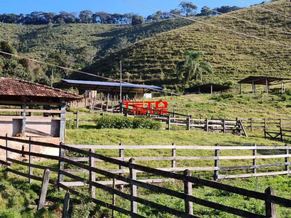 Fazenda - Foto 4