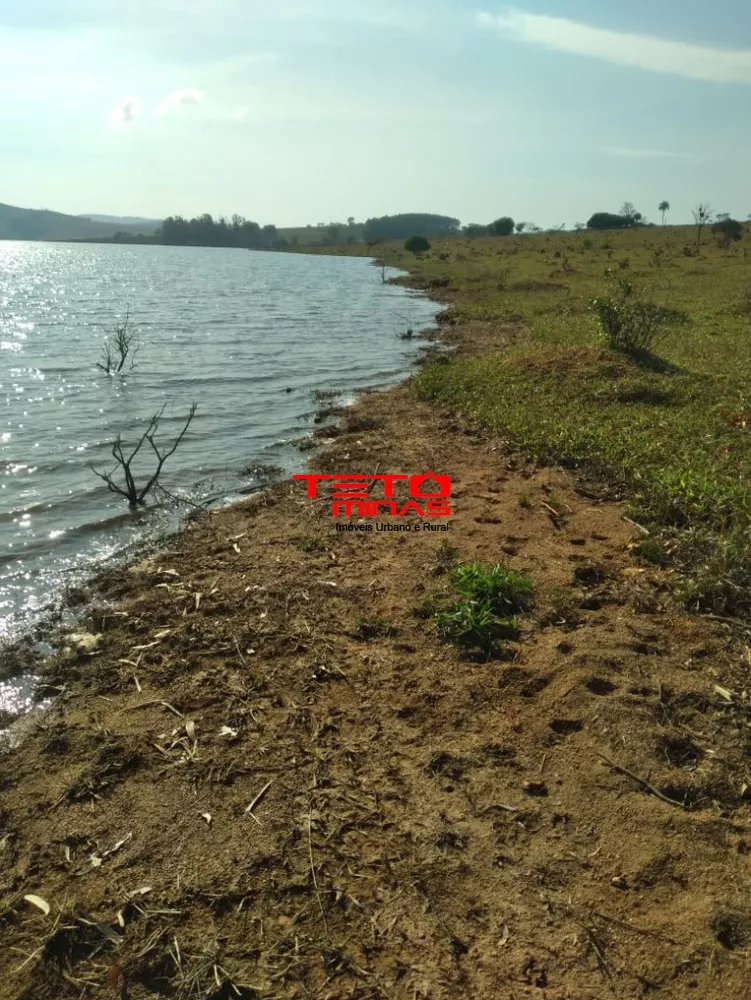 Terreno, 100 hectares - Foto 1