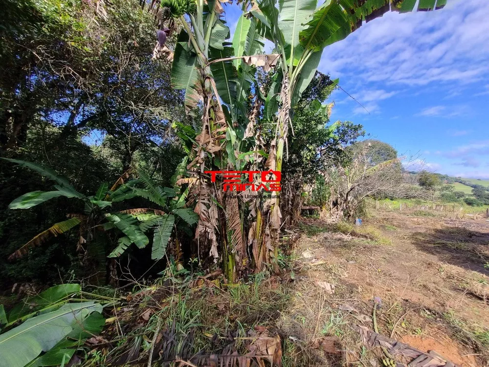 Chácara - Foto 2