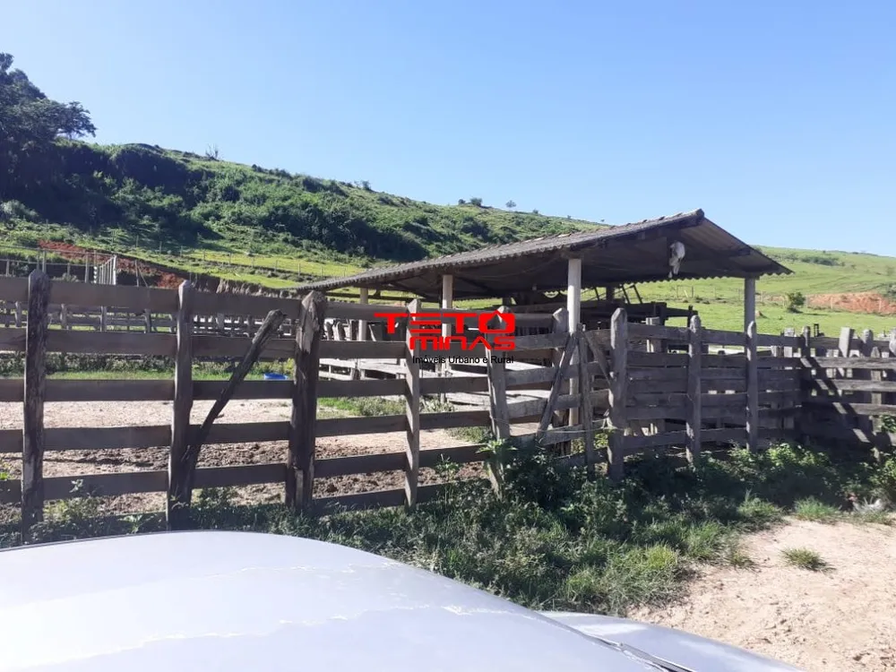 Fazenda - Foto 3