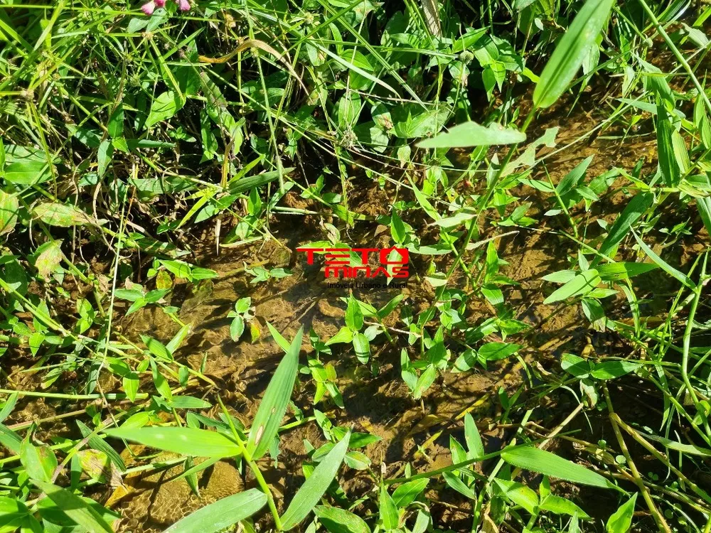 Terreno, 11 m² - Foto 4
