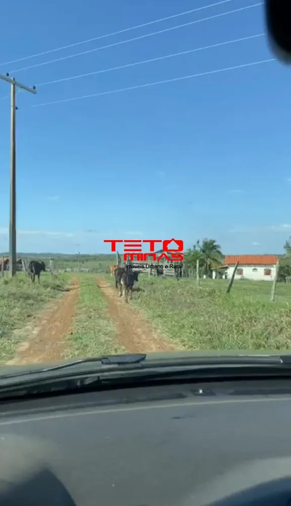 Fazenda - Foto 3