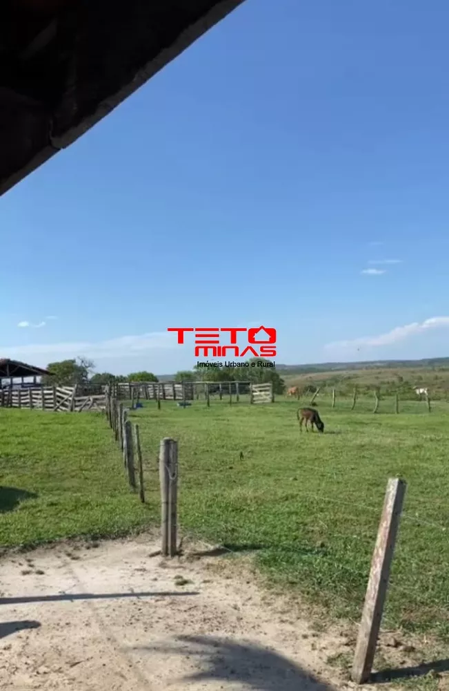 Fazenda - Foto 4