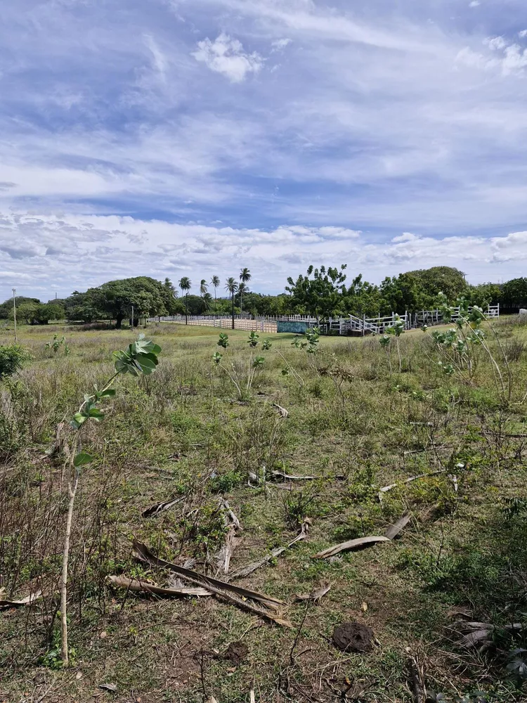 Terreno, 4 hectares - Foto 2