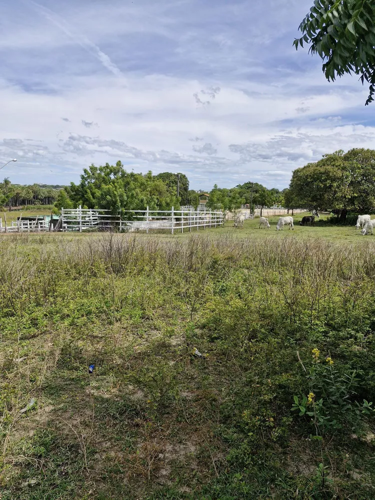 Terreno, 4 hectares - Foto 1