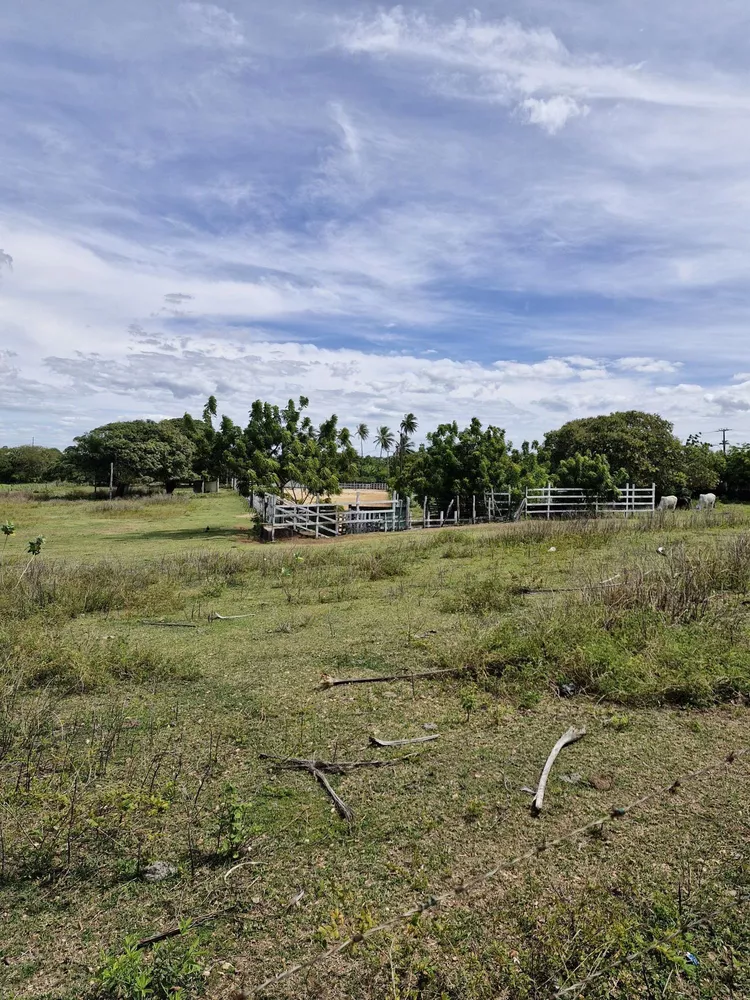 Terreno, 4 hectares - Foto 3