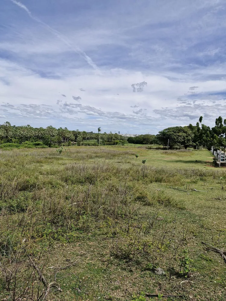 Terreno, 4 hectares - Foto 4