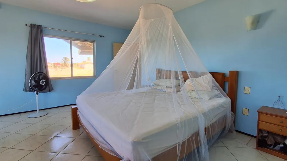 Casa, 5 quartos, 559 m² - Foto 3