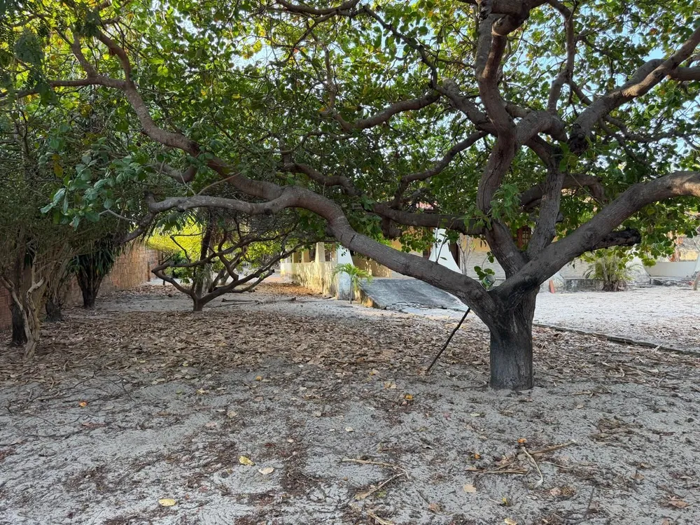 Casa, 2 quartos, 1800 m² - Foto 10