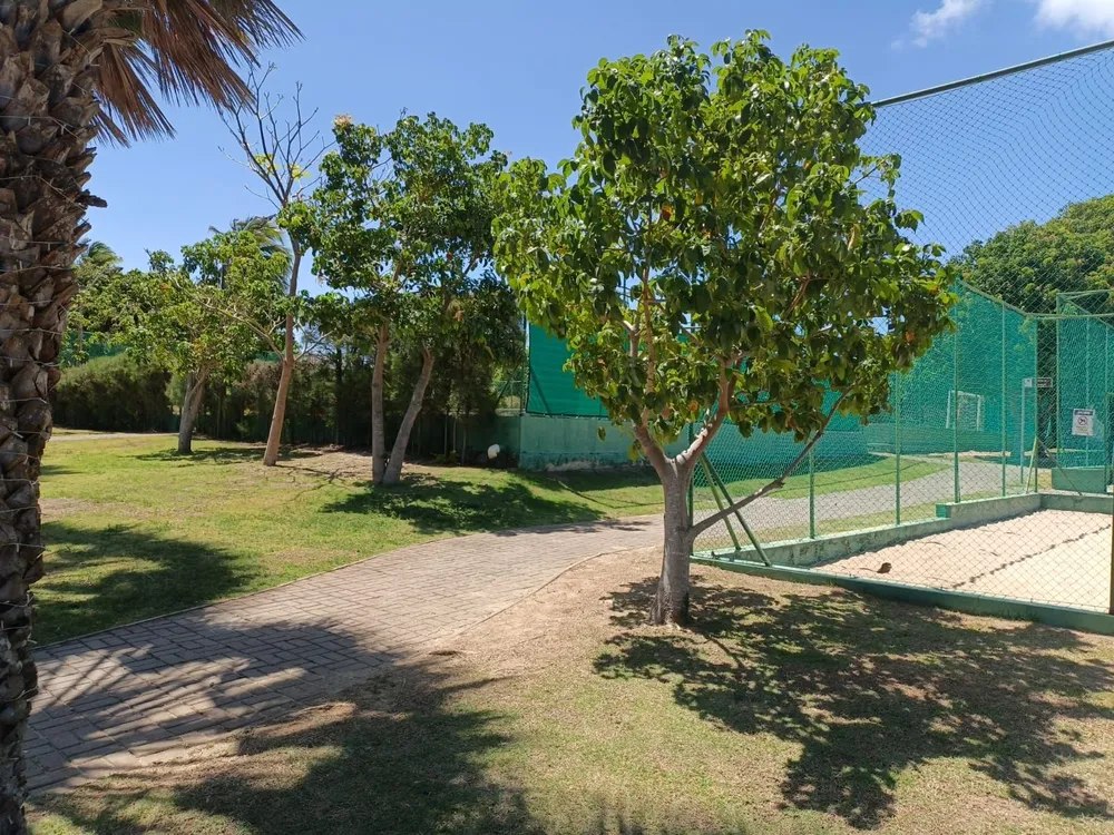 Terreno, 250 m² - Foto 5