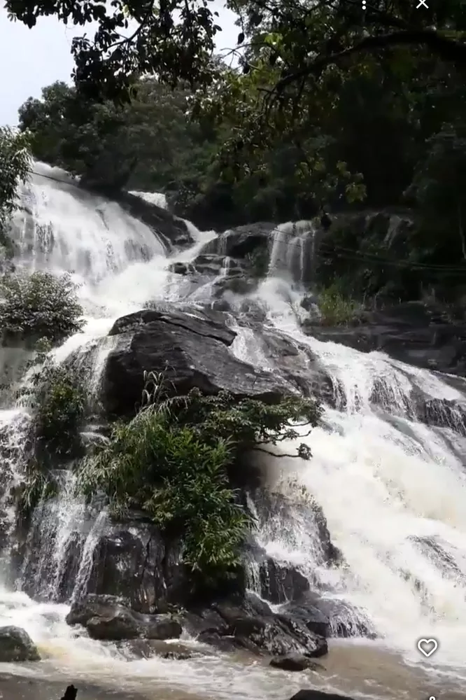 Terreno, 5 hectares - Foto 3