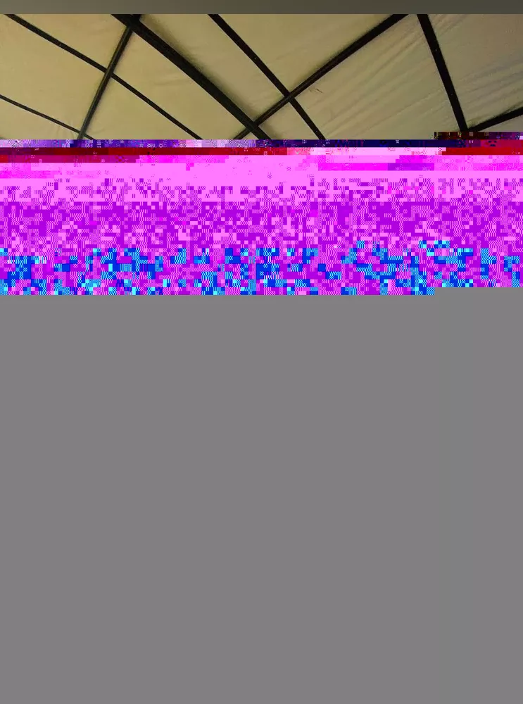 Terreno, 10000 m² - Foto 3