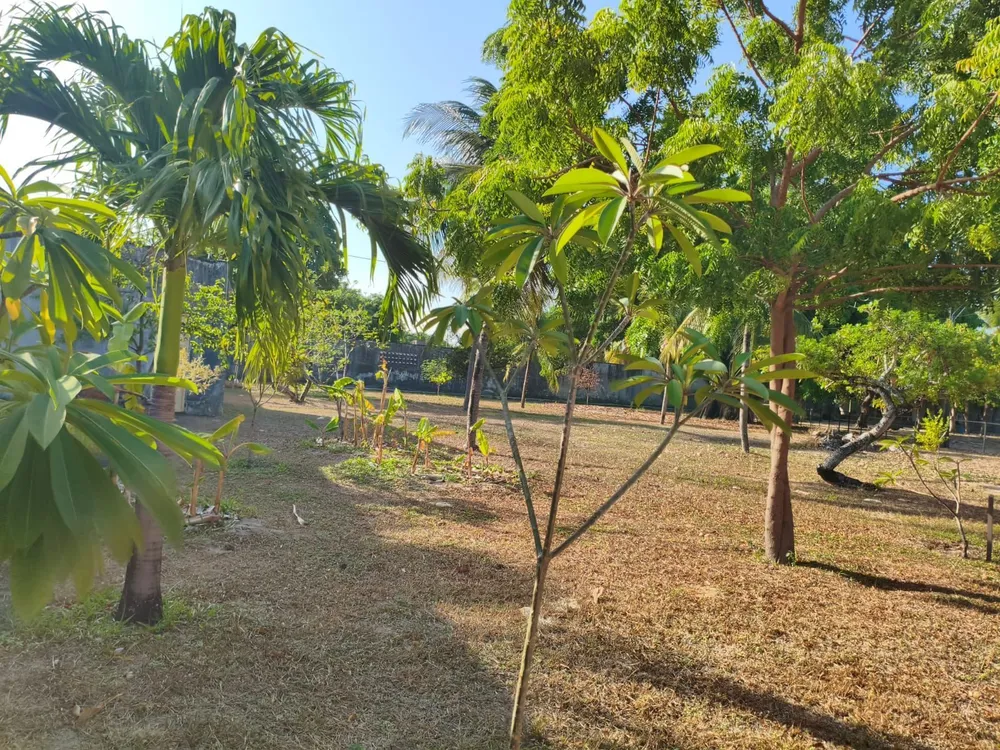 Chácara, 3 quartos, 2 hectares - Foto 1
