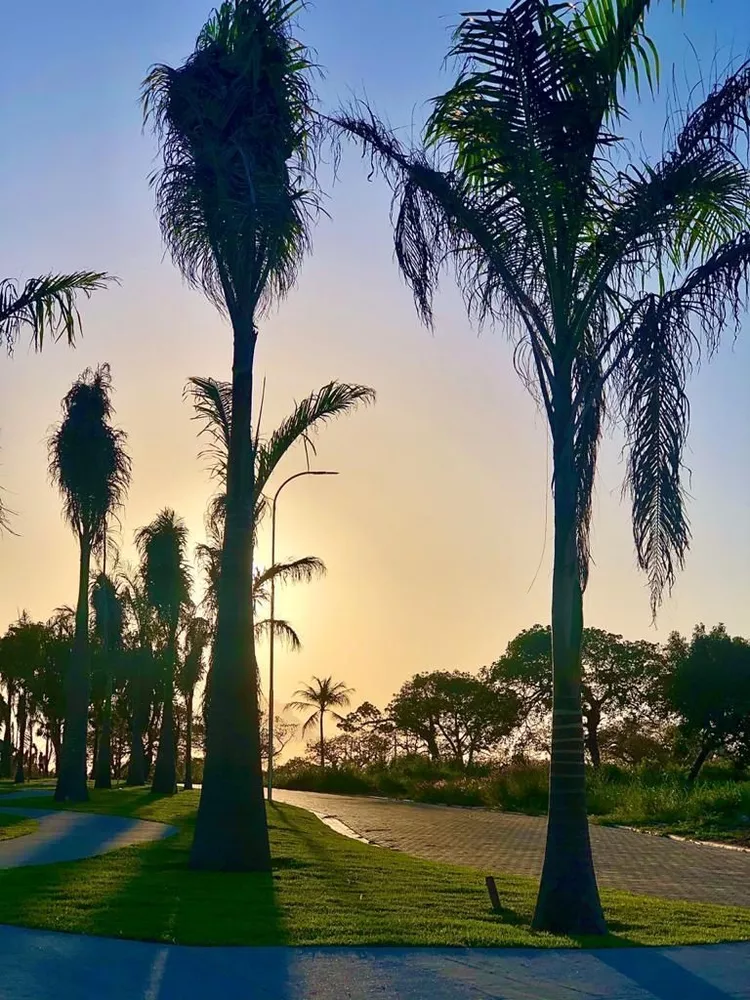 Terreno, 232 m² - Foto 3