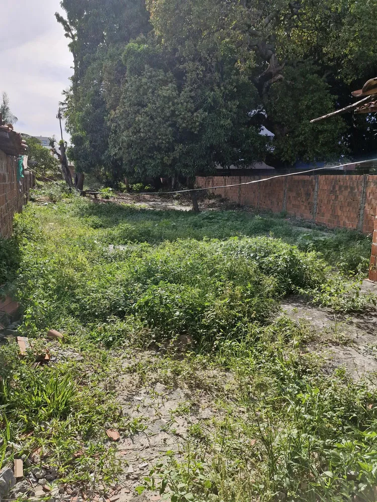 Terreno, 929 m² - Foto 2