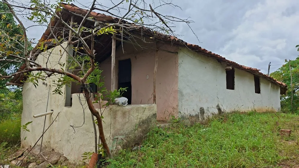 Fazenda, 300 m² - Foto 1