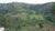 Fazenda, 103 hectares - Foto 5