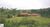 Fazenda, 103 hectares - Foto 1