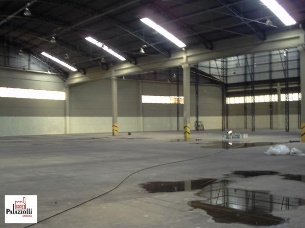 Depósito-Galpão, 6000 m² - Foto 3