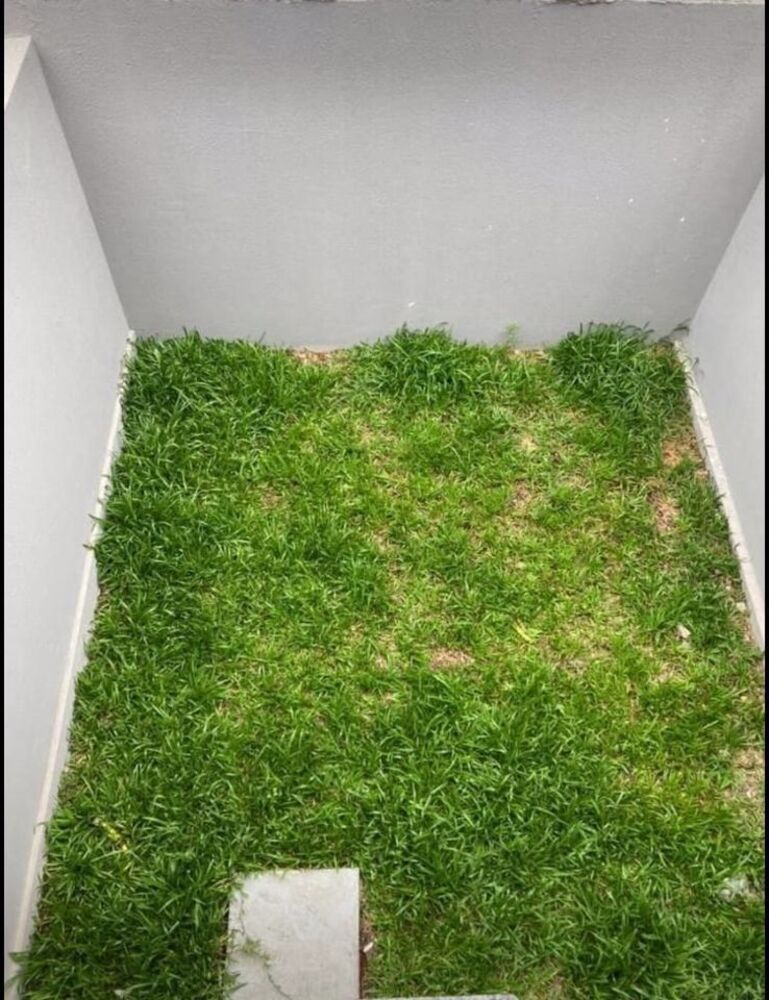 Sobrado, 2 quartos, 65 m² - Foto 8