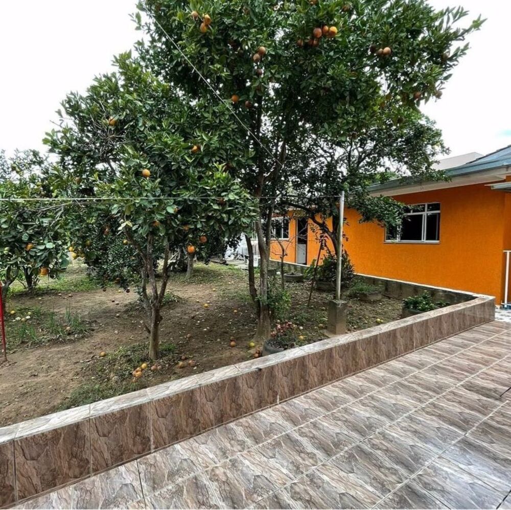 Casa, 4 quartos, 200 m² - Foto 2