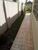 Casa, 3 quartos, 260 m² - Foto 1