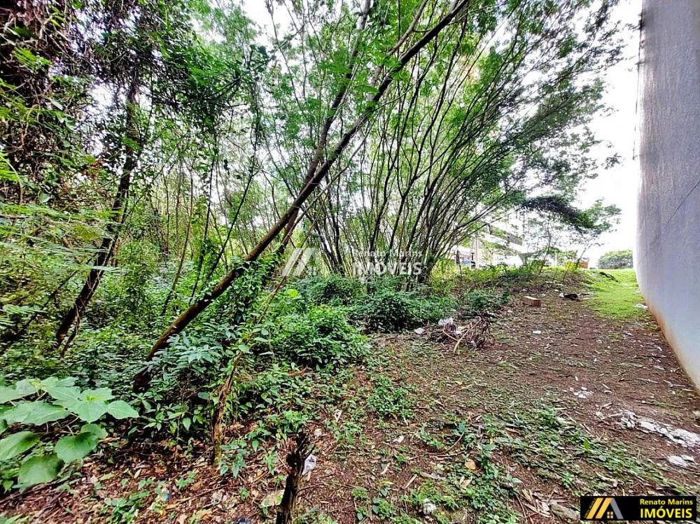 Terreno, 960 m² - Foto 3