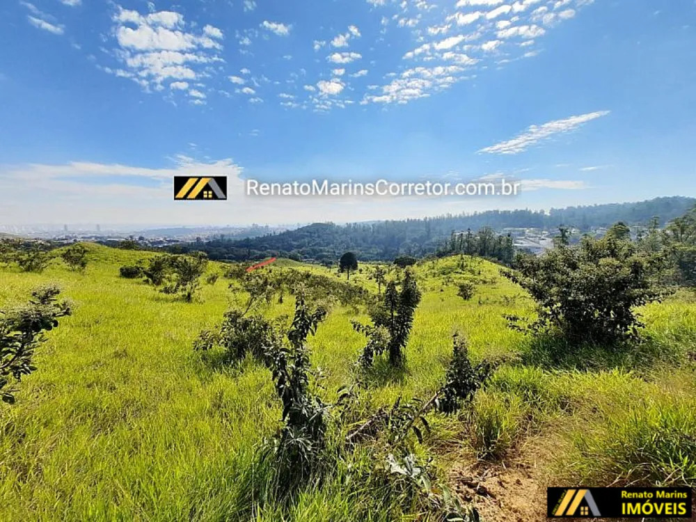 Terreno, 10 hectares - Foto 4