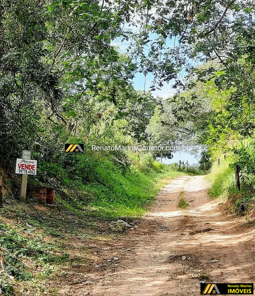 Terreno, 10 hectares - Foto 3