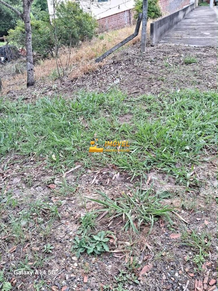 Terreno, 300 m² - Foto 3