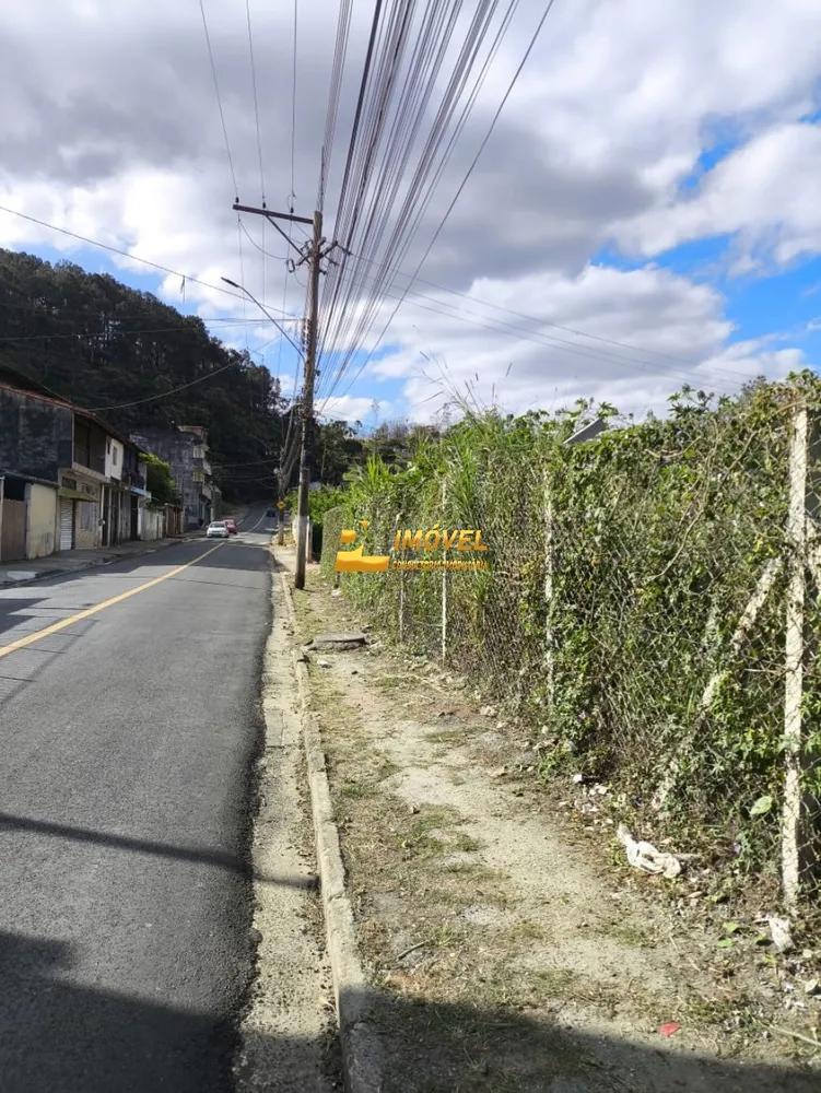 Terreno, 10000 m² - Foto 5