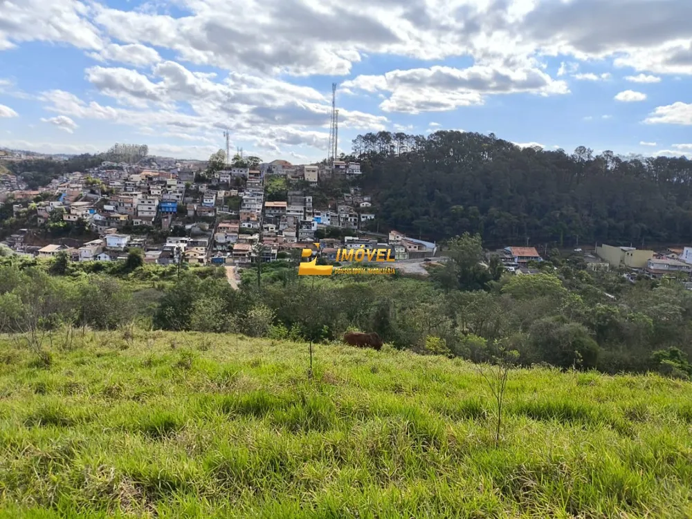 Terreno, 10000 m² - Foto 6