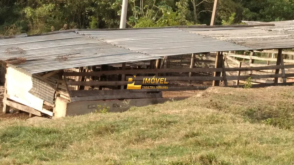 Chácara, 2 quartos, 5652 m² - Foto 4