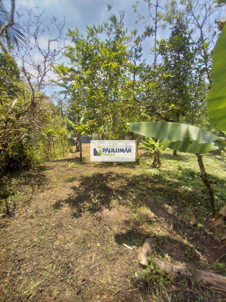 Chácara à venda com 1 quarto, 1000m² - Foto 6