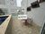 Cobertura, 4 quartos, 196 m² - Foto 5