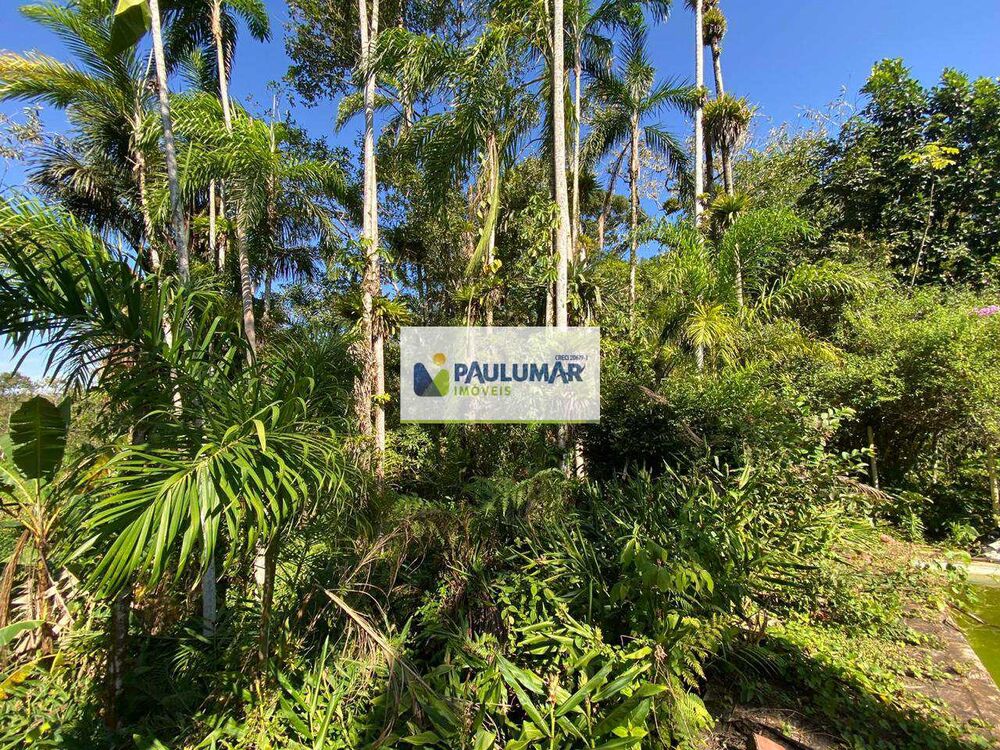 Fazenda à venda com 4 quartos, 57000m² - Foto 9