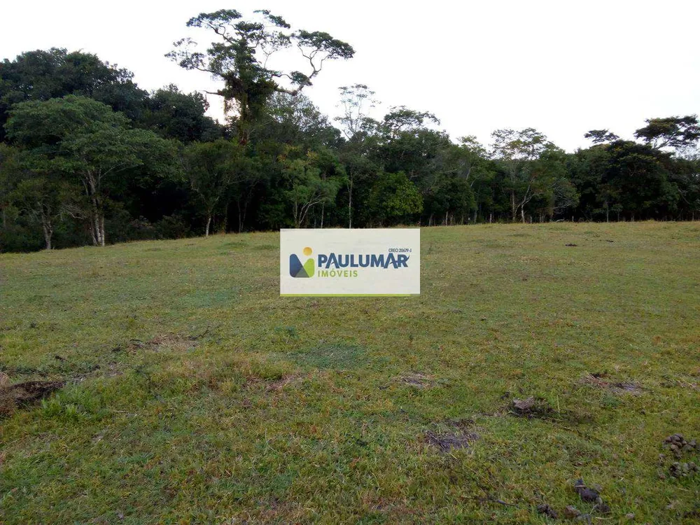 Sítio, 3 quartos, 2 hectares - Foto 22