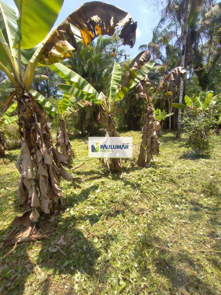 Fazenda à venda com 1 quarto, 1000m² - Foto 4