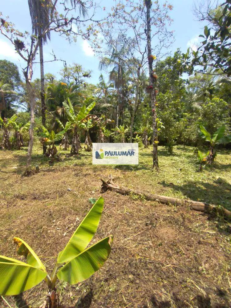 Fazenda à venda com 1 quarto, 1000m² - Foto 15