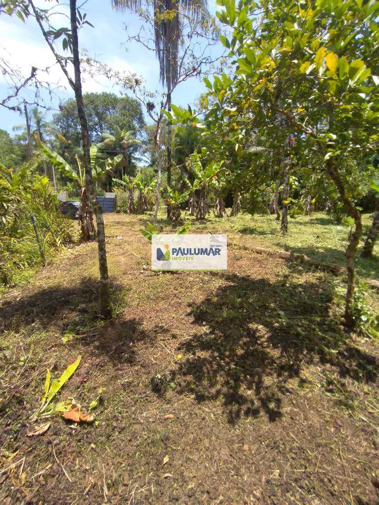 Fazenda à venda com 1 quarto, 1000m² - Foto 6