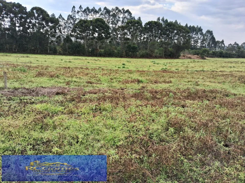 Loteamento e Condomínio, 1 hectares - Foto 2