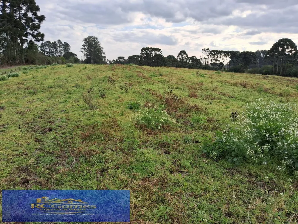 Loteamento e Condomínio, 1 hectares - Foto 3