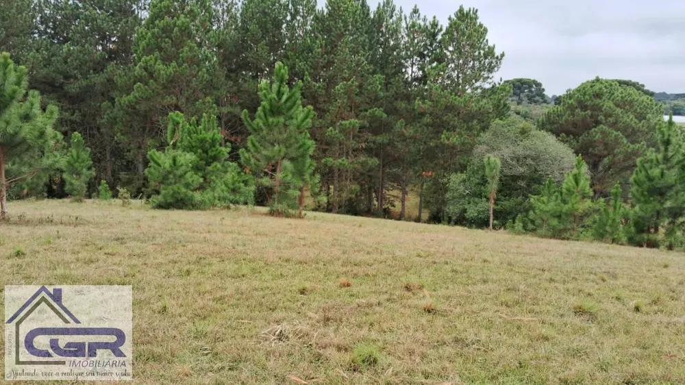 Loteamento e Condomínio, 14 hectares - Foto 3