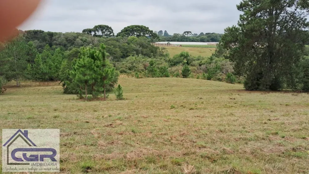 Loteamento e Condomínio, 14 hectares - Foto 4