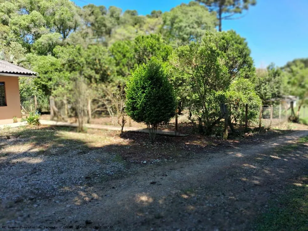 Chácara, 3 quartos, 3 hectares - Foto 3