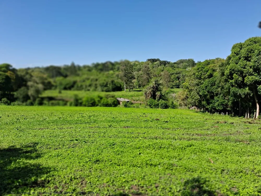 Chácara, 3 quartos, 3 hectares - Foto 2